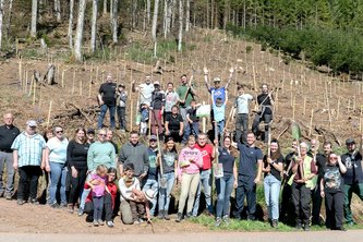 BENZ Tooling: We for you tree planting campaign