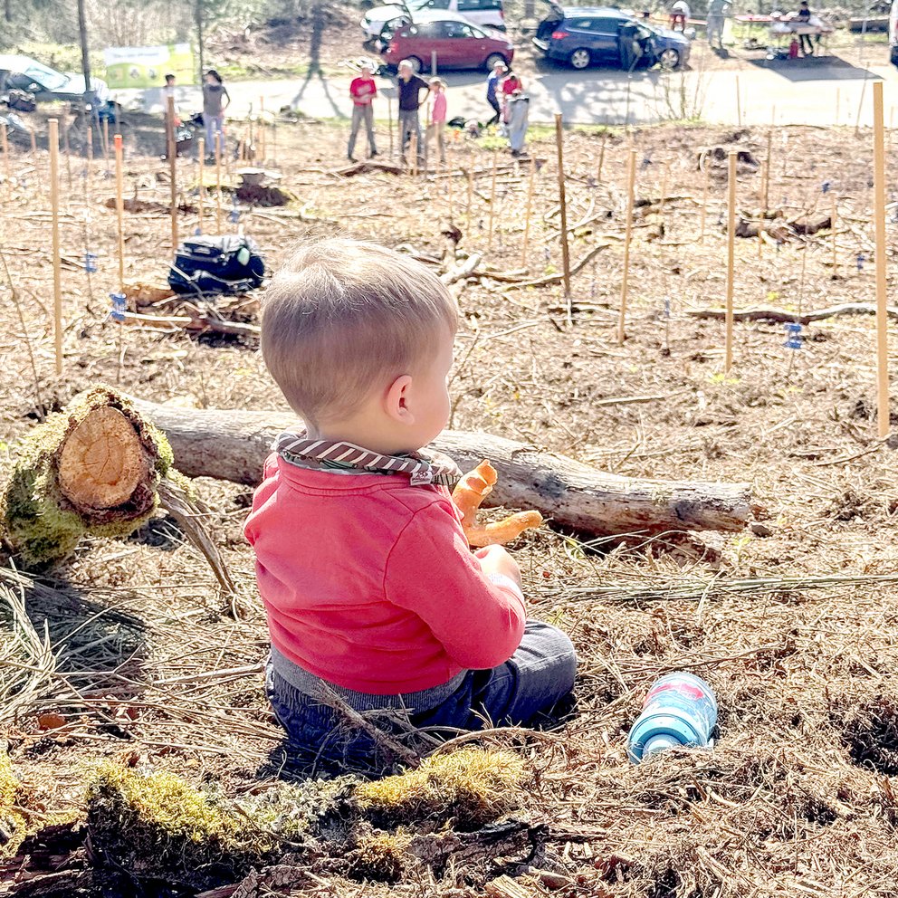 BENZ Tooling: We for you tree planting campaign