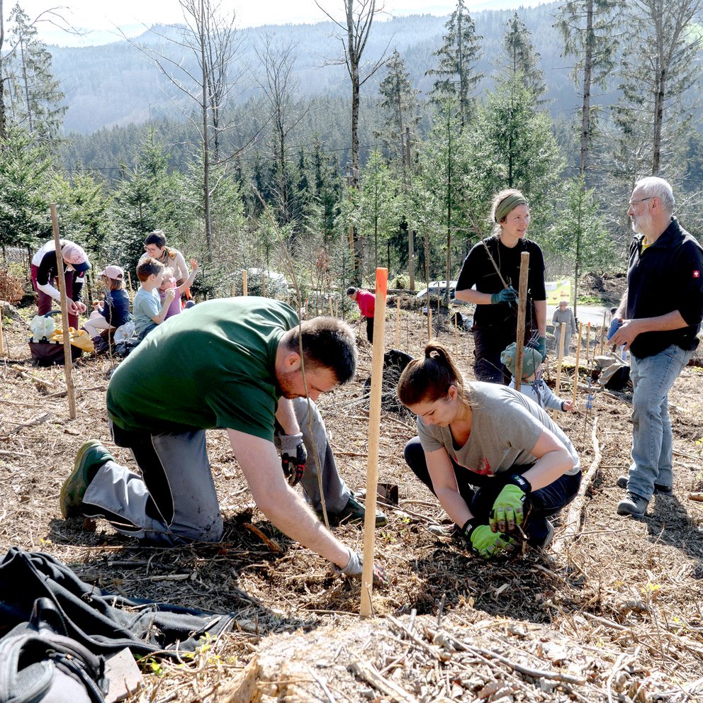 BENZ Tooling: We for you tree planting campaign