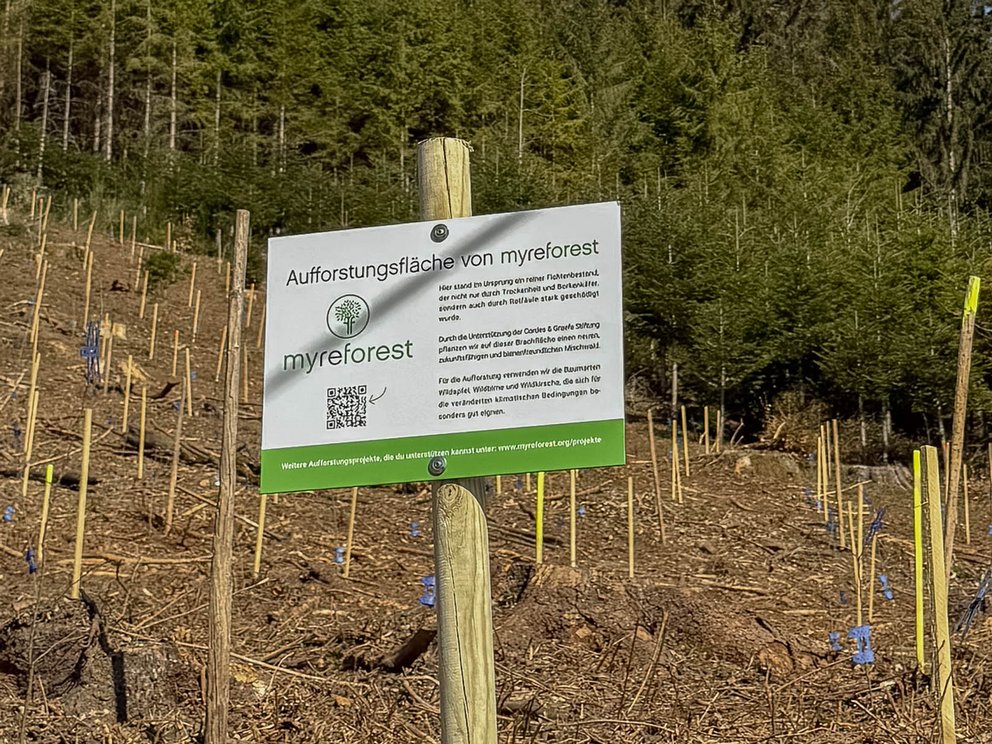 BENZ Tooling: We for you tree planting campaign